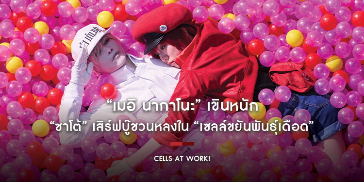 “เมอิ นากาโนะ” เขินหนัก “ซาโต้” เสิร์ฟบู๊ชวนหลงใน “Cells at Work! เซลล์ขยันพันธุ์เดือด” 13 มี.ค. ในโรงภาพยนตร์